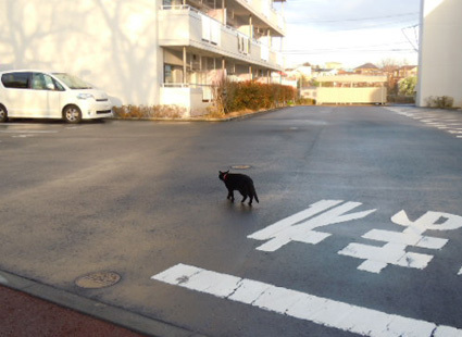 20121222home02.JPG