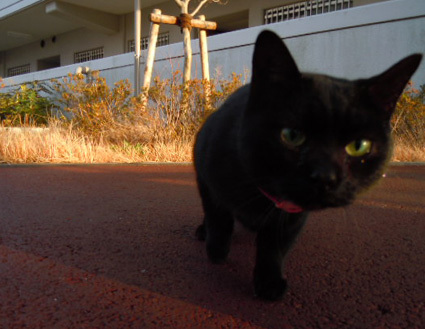 20121222home04.JPG