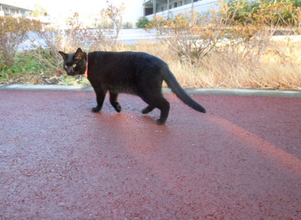 20121222home05.JPG