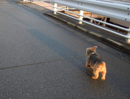 20121222home06.JPG