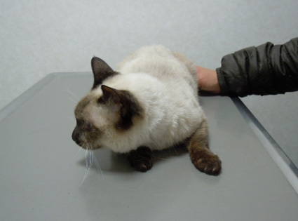 20121223hospital01.JPG