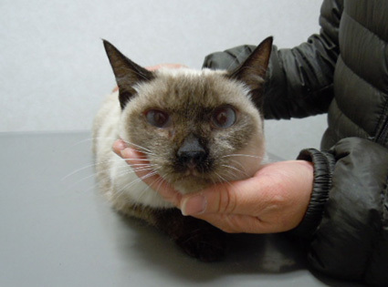20121223hospital02.JPG
