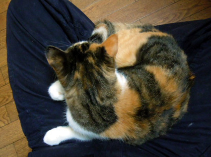 20121225home01.JPG