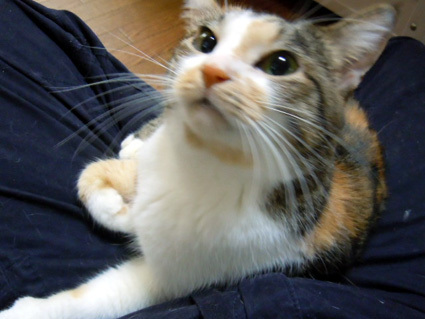 20121225home02.JPG