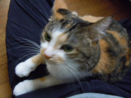20121225home03.JPG