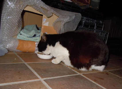 20130126home01.JPG