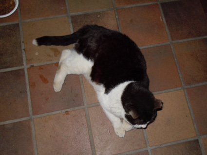 20130126home02.JPG
