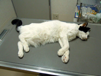 20130126hospital04.JPG