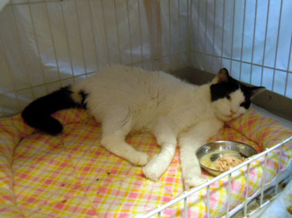 20130127home01_riku.JPG