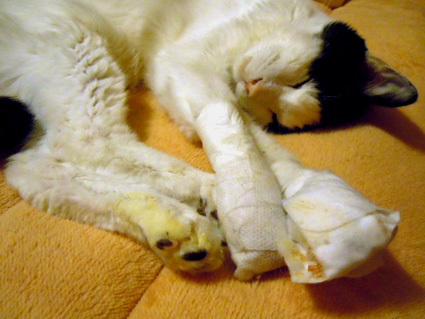 20130128home02.JPG