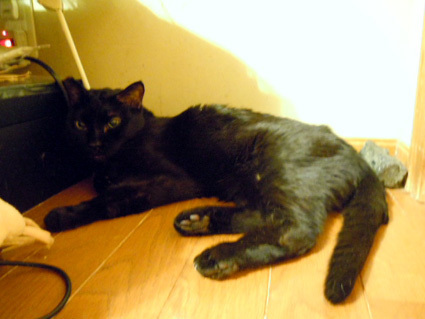20130128home03.JPG
