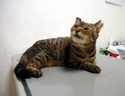 20130202hospital02.JPG