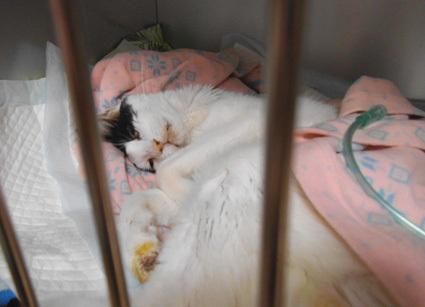 20130210home03.JPG