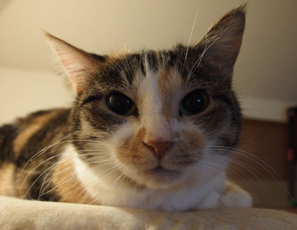20130219home05.JPG