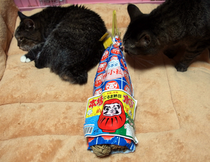 20130326home01.JPG