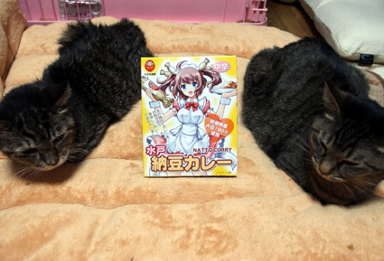 20130326home02.JPG