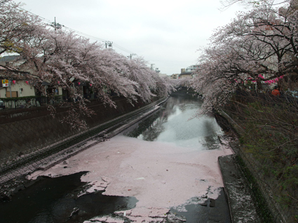 20130329hospital02.JPG