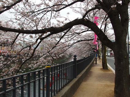 20130329hospital04.JPG