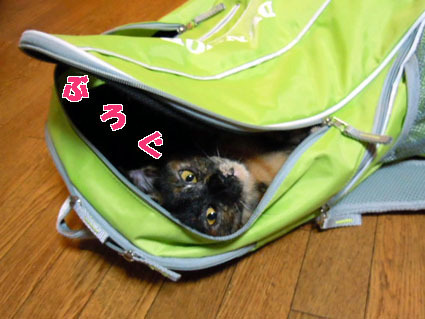 20130414home05.JPG