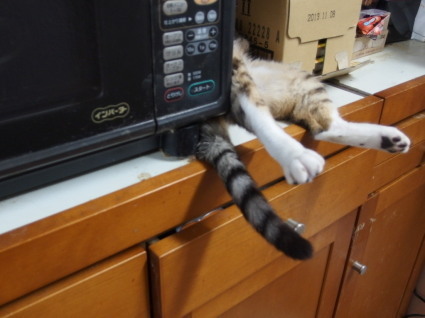 20130528home01_kii.jpg