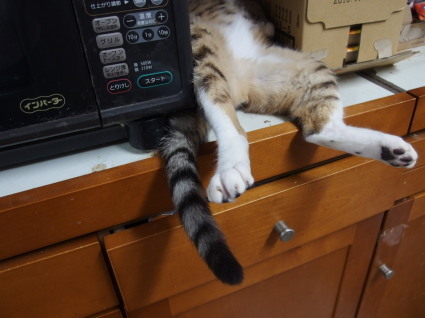 20130528home02_kii.jpg