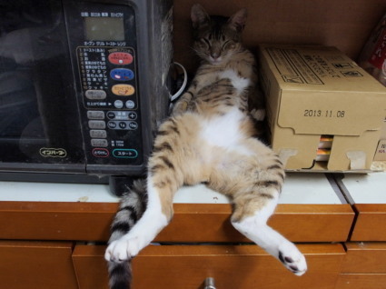 20130528home04_kii.jpg