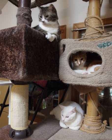 20130624home01.jpg