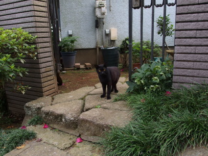 20130630TNR01.jpg
