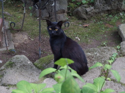 20130630TNR02.jpg