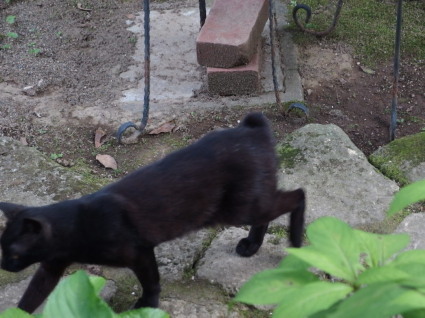20130630TNR03.jpg