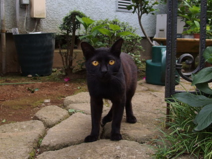 20130630TNR04.jpg