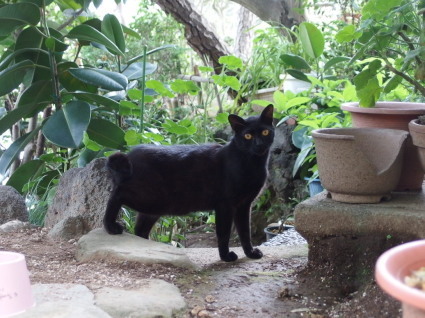 20130630TNR05.jpg