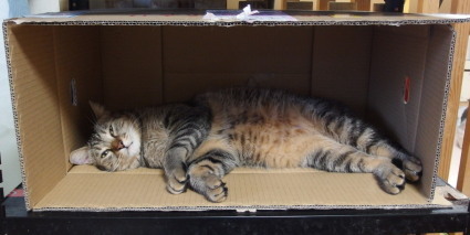 20130702home01_fuku.jpg
