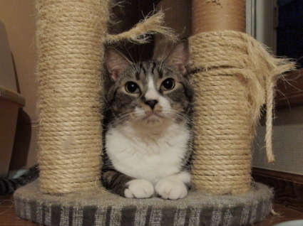 20130702so-ma01.jpg