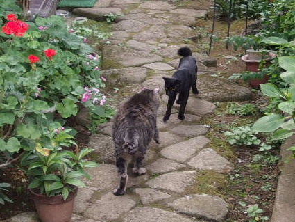 20130803home01.jpg