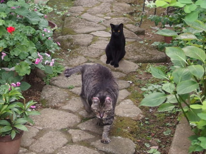 20130803home03.jpg