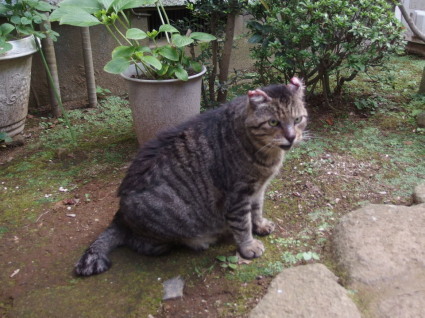 20130803home05.jpg