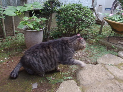 20130803home06.jpg