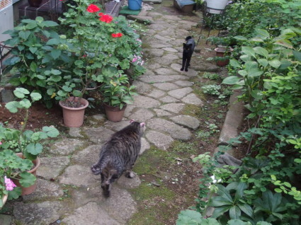 20130803home07.jpg