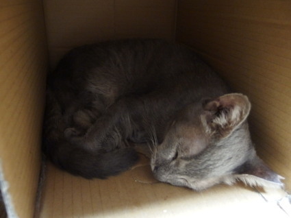 20130804home09.jpg