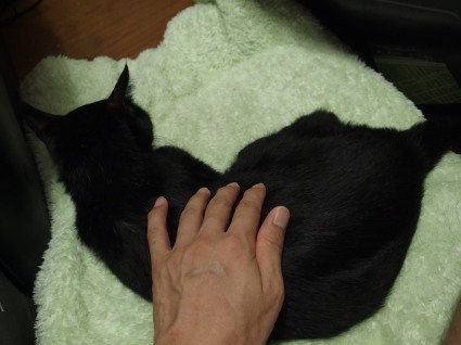 20131007home01_dai.jpg