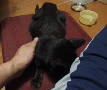 20131014home01_dai.jpg