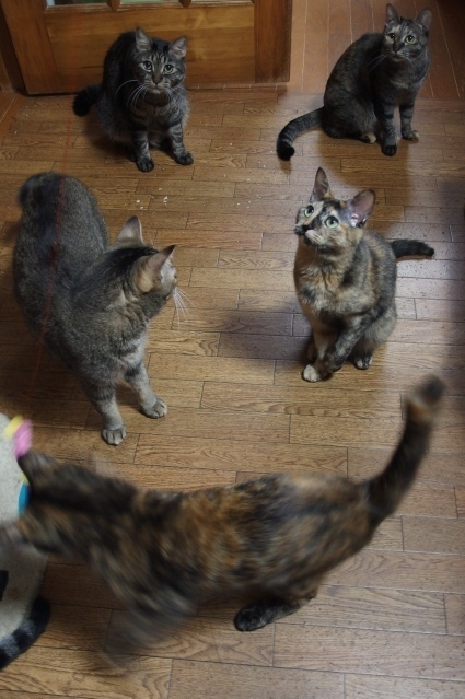 20131027home10.jpg
