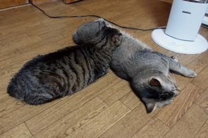 20131028home02.jpg