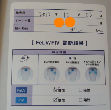 20131228home01.jpg