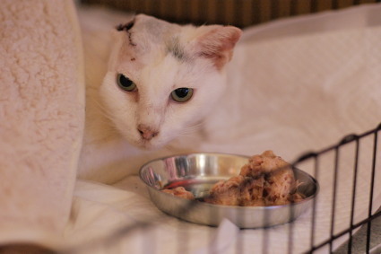 20131228home02.jpg