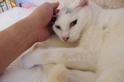 20131228home04.jpg