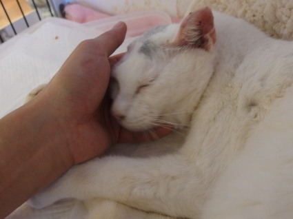 20131228home05.jpg