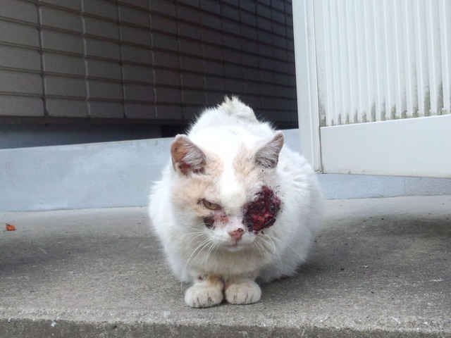 20131230home01.jpg