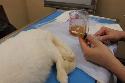 20131230hospital01_gin.jpg